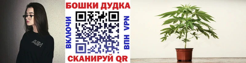 Меф Володарск