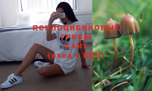 метамфетамин Верея