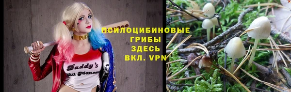 мдпв Верхнеуральск